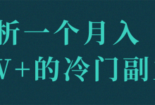 解析一个月入2W+的冷门副业!【视频教程】-蜗牛学社