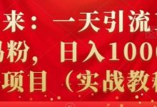 祖小来：一天引流100+宝妈粉，日入1000+的蓝海项目（实战教程）-蜗牛学社