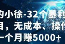 进击的小徐-32个暴利小项目，无成本、操作简单一个月赚5000+-蜗牛学社