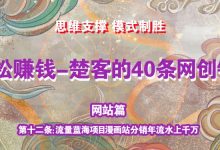 《楚客的40条锦囊-网站篇》第十二条：流量蓝海项目漫画站分销年流水上千万-蜗牛学社