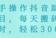 新手操作抖音助眠项目，每天搬砖两小时，轻松300＋【视频教程】-蜗牛学社