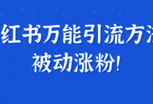 小红书万能引流方法，被动涨粉！【视频教程】-蜗牛学社