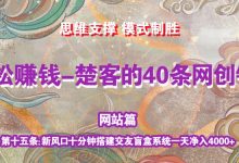 《楚客的40条锦囊-网站篇》第十五条：新风口十分钟搭建交友盲盒系统一天净入4000+-蜗牛学社