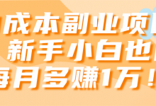 0成本副业项目，新手小白也能每月多赚1万！【视频教程】-蜗牛学社