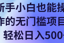 新手小白也能操作的无门槛项目，轻松日入500+【视频教程】-蜗牛学社