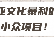 亚文化暴利的小众项目！【视频教程】-蜗牛学社