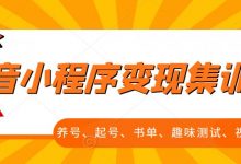 抖音小程序变现集训课，养号、起号、书单、趣味测试、视频剪辑，全套流程-蜗牛学社