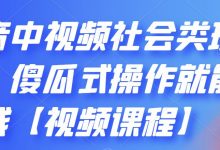 抖音中视频社会类玩法，傻瓜式操作就能赚钱【视频课程】-蜗牛学社