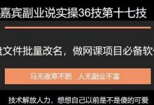 嘉宾副业说实操36技第十七技：百度网盘本地文件重命名免费软件，做网课项目必备软件-蜗牛学社