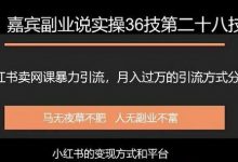 嘉宾副业说实操36技第二十八技小红书卖虚拟网课引流，月入过万的实操项目分享-蜗牛学社