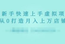 2022年虚拟项目实战指南，新手从0打造月入上万店铺【视频课程】-蜗牛学社