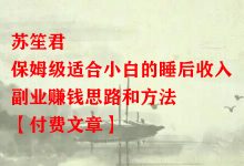 苏笙君·保姆级适合小白的睡后收入副业赚钱思路和方法【付费文章】-蜗牛学社