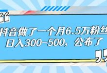 酷酷说钱：抖音做了一个月6.5万粉丝，日入300-500，公布了【付费文章】-蜗牛学社