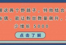 掌握这两个野路子，特效结合神奇布偶，能让粉丝数量飙升，至少增长 5000-蜗牛学社