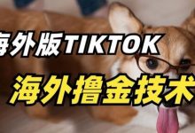 抖音海外版tiktok撸金技术，这个风口行业，赚钱真的不难-蜗牛学社