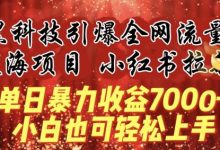 蓝海项目!黑科技引爆全网流量小红书拉新，单日暴力收益7000+，小白也能轻松上手-蜗牛学社