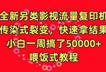 全新另类影视流量复印机，传染式裂变，快速拿结果，小白一周搞了50000+，喂饭式教程-蜗牛学社