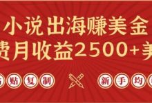 小说出海赚美金，稿费月收益2500+美金，仅需chatgpt粘贴复制，新手也能玩转-蜗牛学社