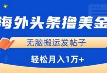 海外头条赚美金，无脑搬运发帖子，月入1万+，小白轻松掌握-蜗牛学社